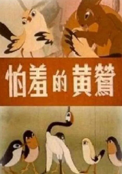 透明性和她的黑洞