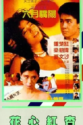 91视频完整版