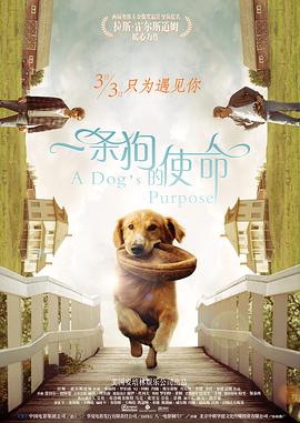 色综合久久网