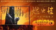 小兰姐的爱情