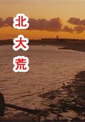 色视屏