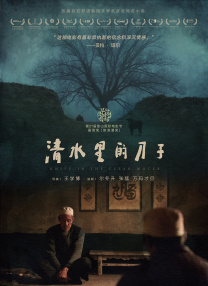 8x8x华人